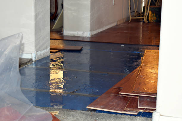 Professional Water Extraction technician working in Britton, MI